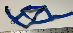 Blue Harness - Medium Size