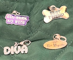 Charms for your special friends collar