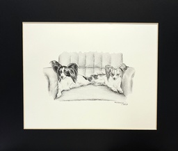 Matted B&W print  - 2  papllons on chair