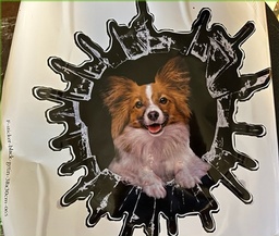 Large Papillon Decal/Sticker $7