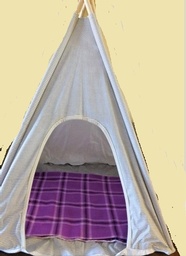 Fun TeePee shaped bed for your fur friends